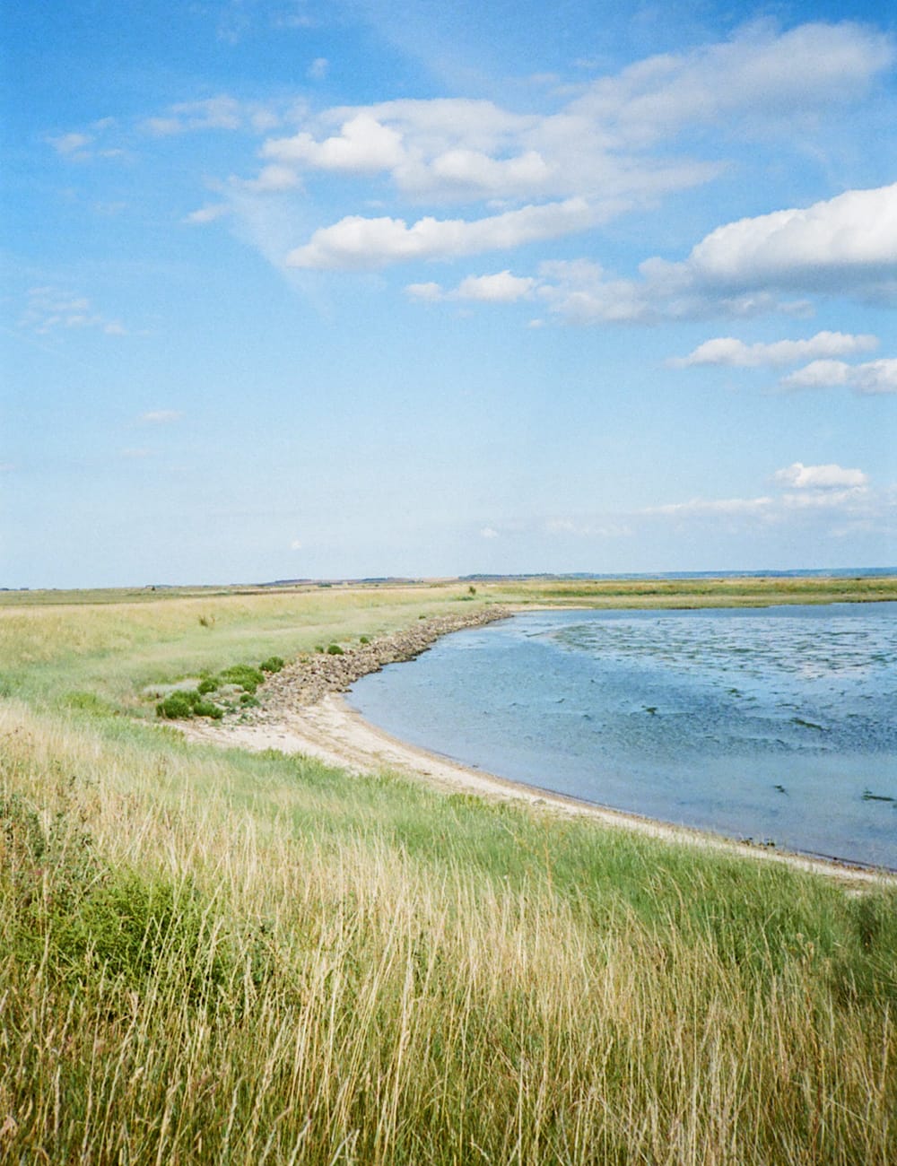 View of marshlands at Elmley Nature Reserve in Kent