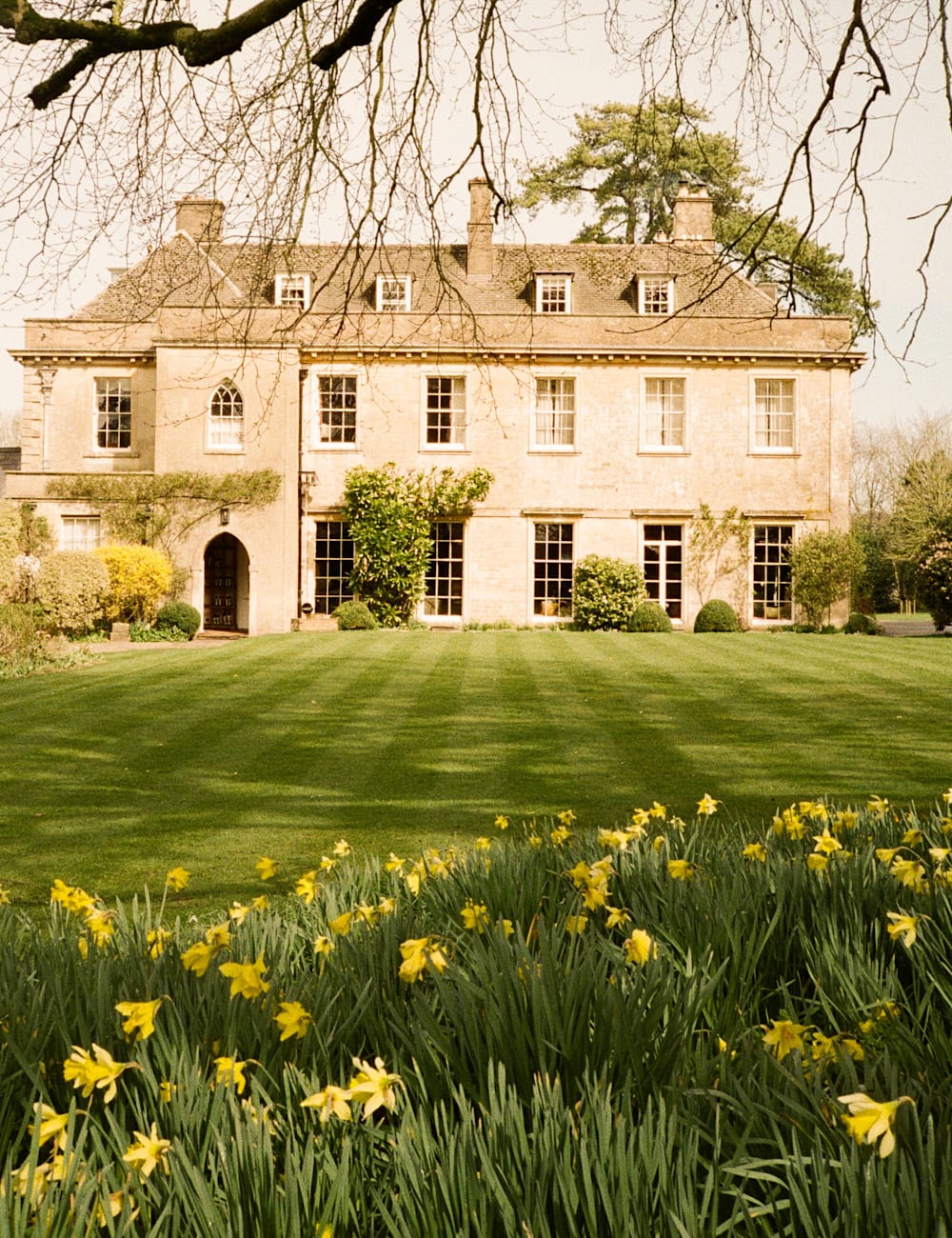 Hotel exterior and lawn through the daffodils 