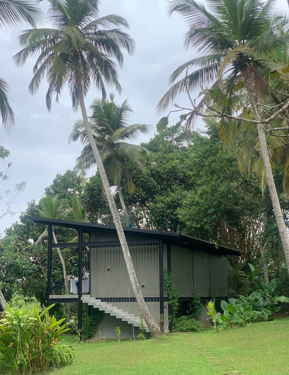 Cabin exterior with swaying palm trees