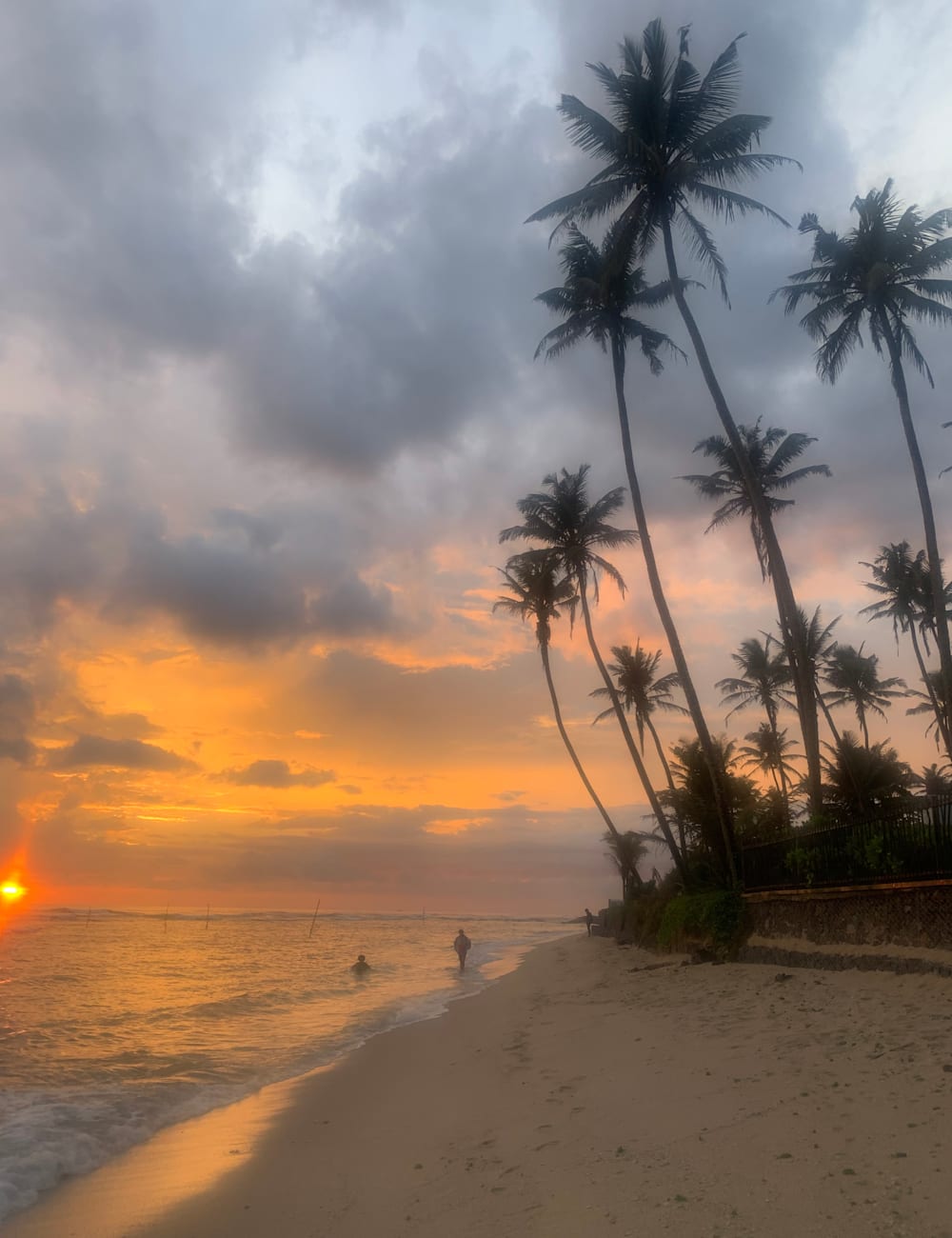 Sunset at the beach with palm trees