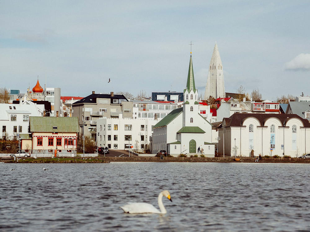 Reykjavik in Iceland with view of Swan in river and cityscape behind
