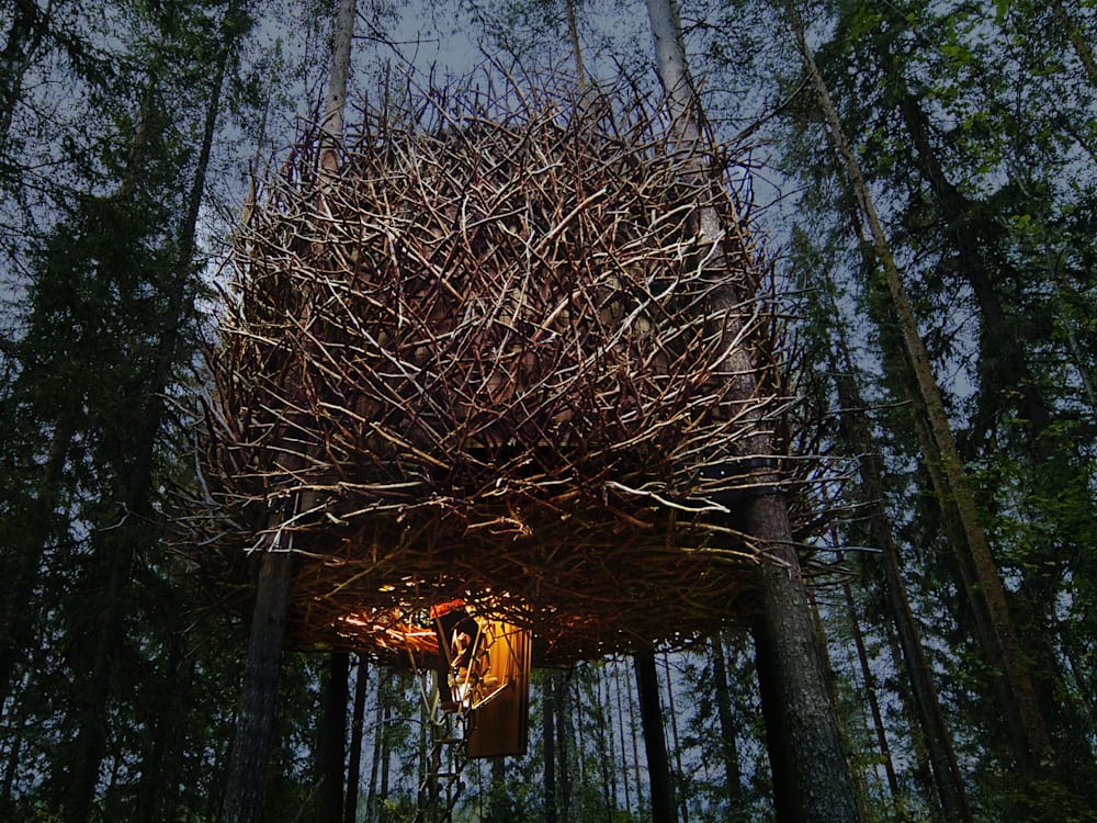 Birds Nest treehouse accomodation in Sweden