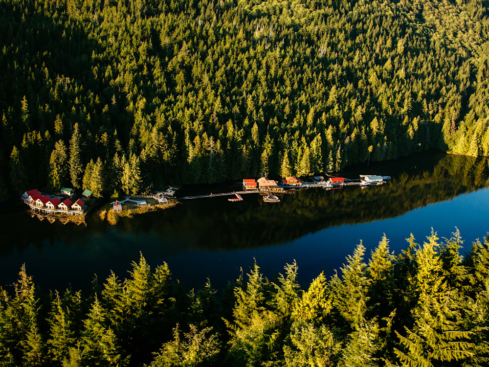 A forest with a body of water with colourful cabins