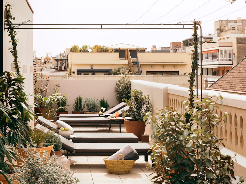 Rooftop terrace with sun loungers and foliage