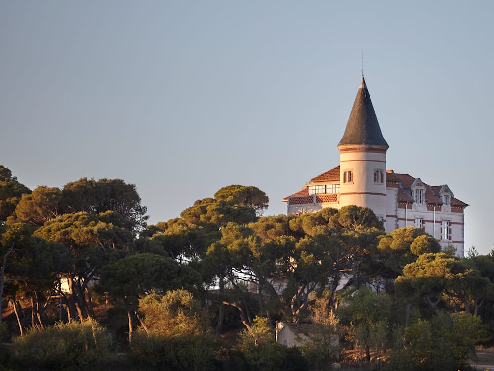 Chateau above the line of the trees at sunset, the warm hues creating a dreamy atmosphere and illuminating the trees and building