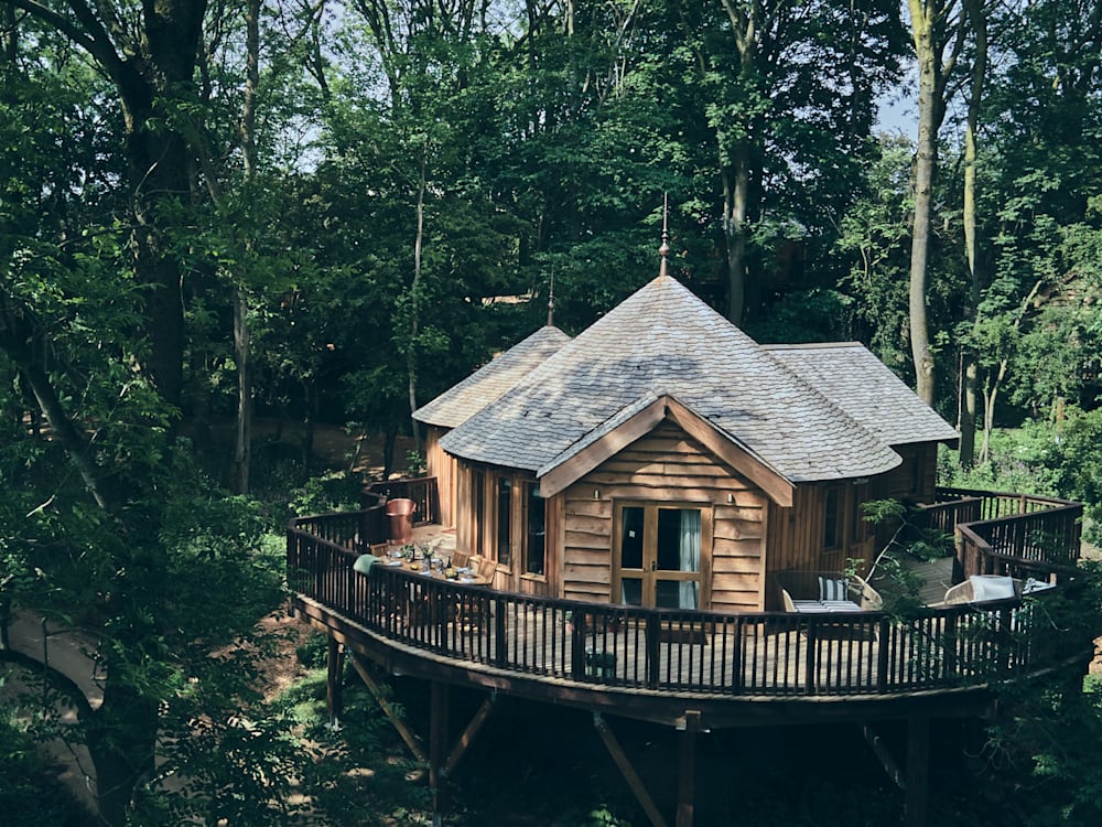 Callow Hall treehouse in the trees