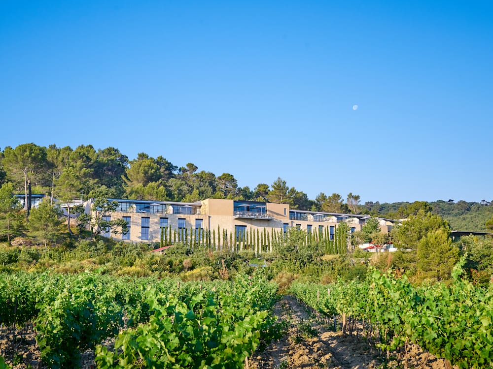 Hotel surrounded by vineyards and greenery 