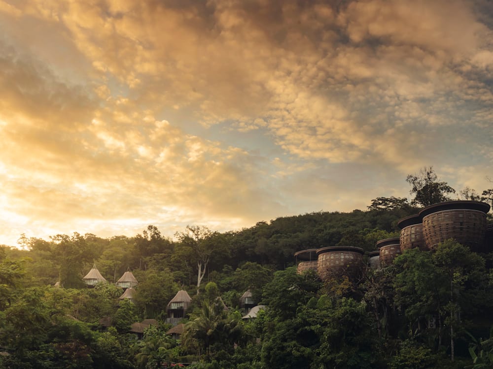 Exterior view of the resort, huts in-between the trees in the sunset. Feathered clouds are strewn across the golden sky. 