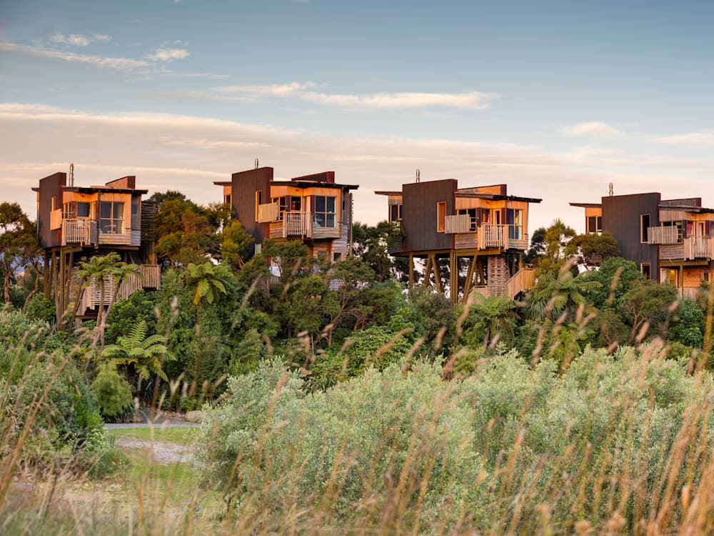 Hapuku Lodge treehouses | Mr & Mrs Smith